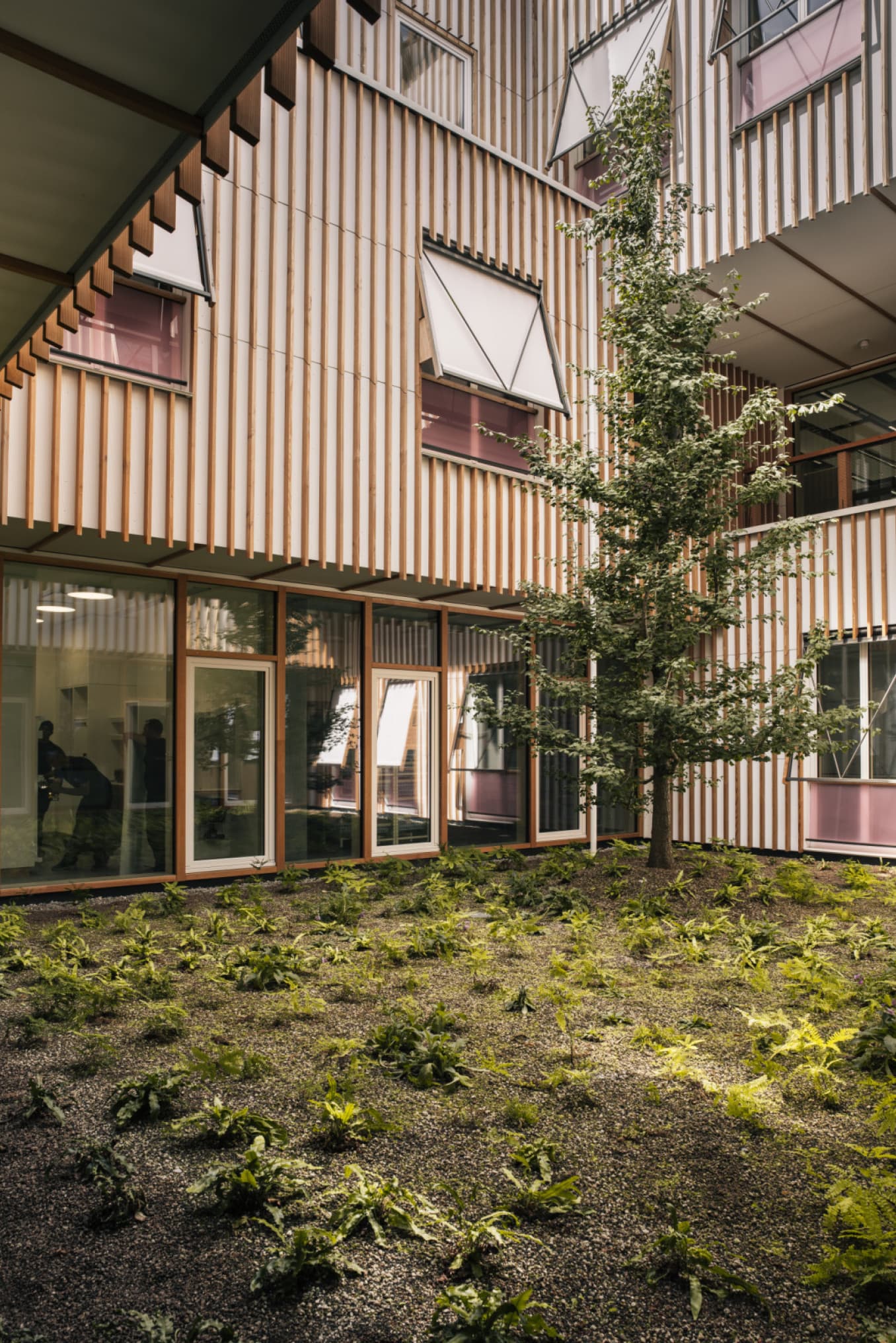 erea Baumanagement GmbH