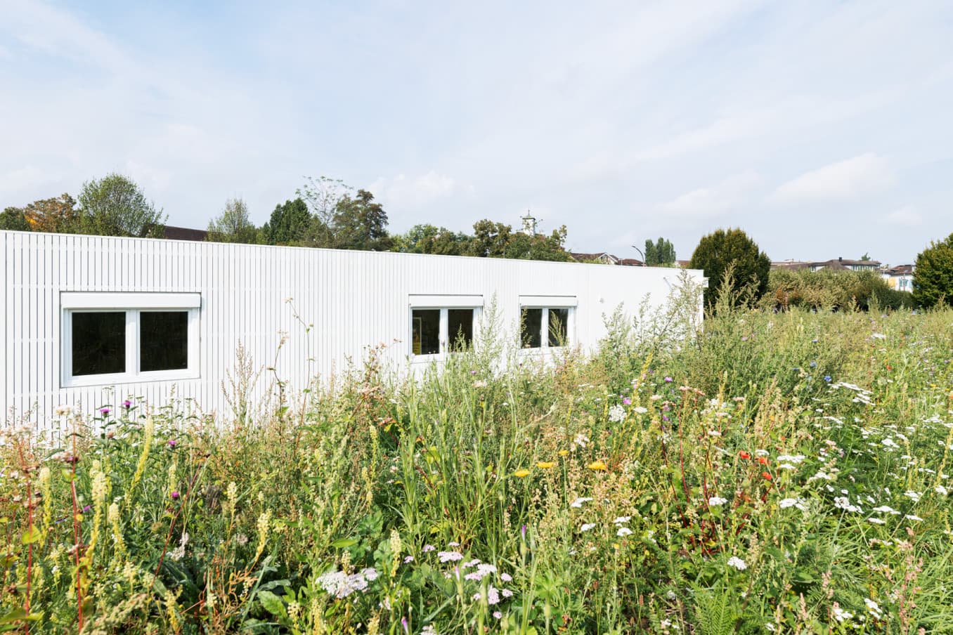 erea Baumanagement GmbH