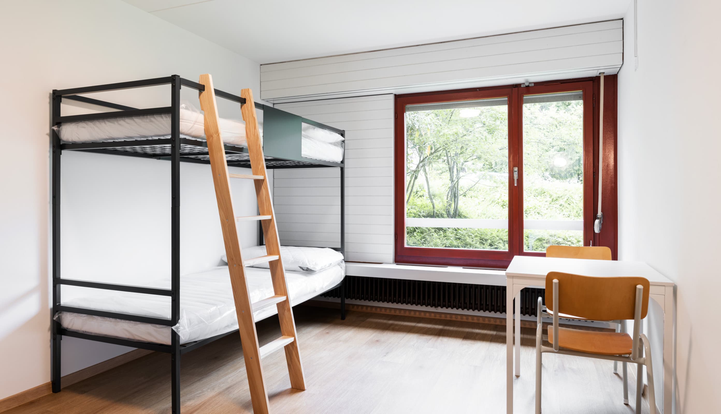 erea Baumanagement GmbH